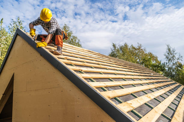 Roof Gutter Cleaning in Floral City, FL